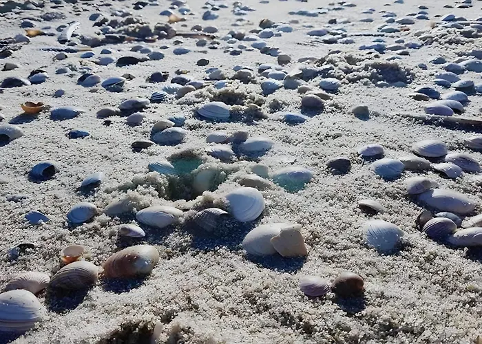 Gemuetliche Reet-pool-sauna *